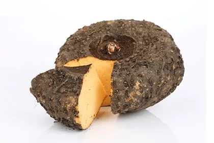 Elephant foot yam suran for Indian export supply