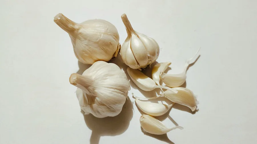 Fresh garlic exporter India