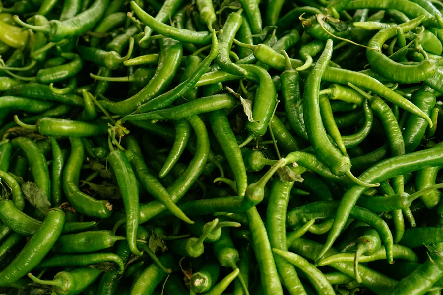 Fresh green chillies sourced from Indian farms