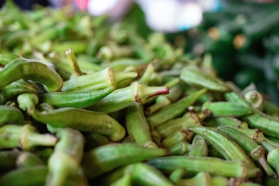 Fresh okra bhindi exporter India