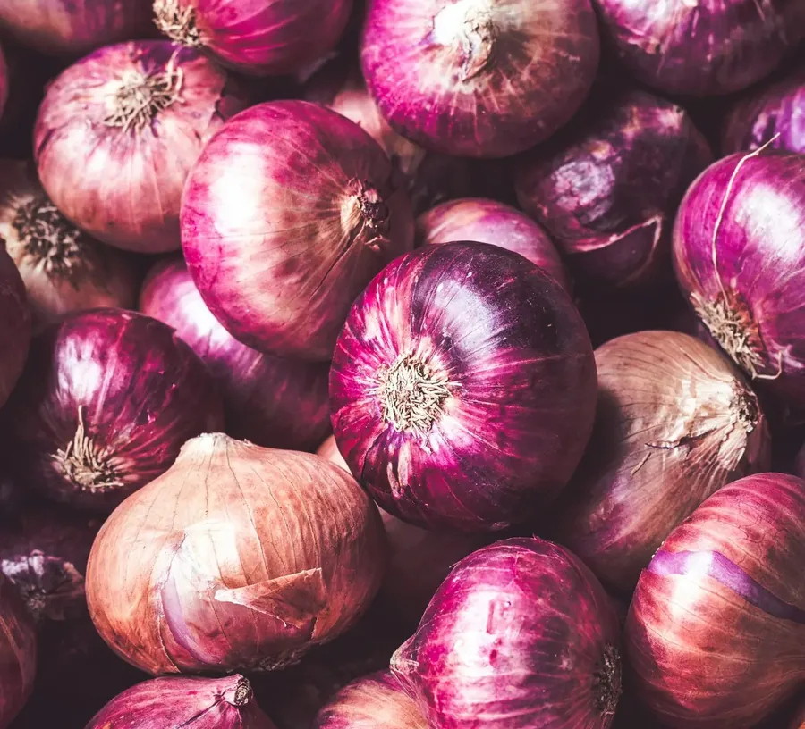 Fresh red onions for export