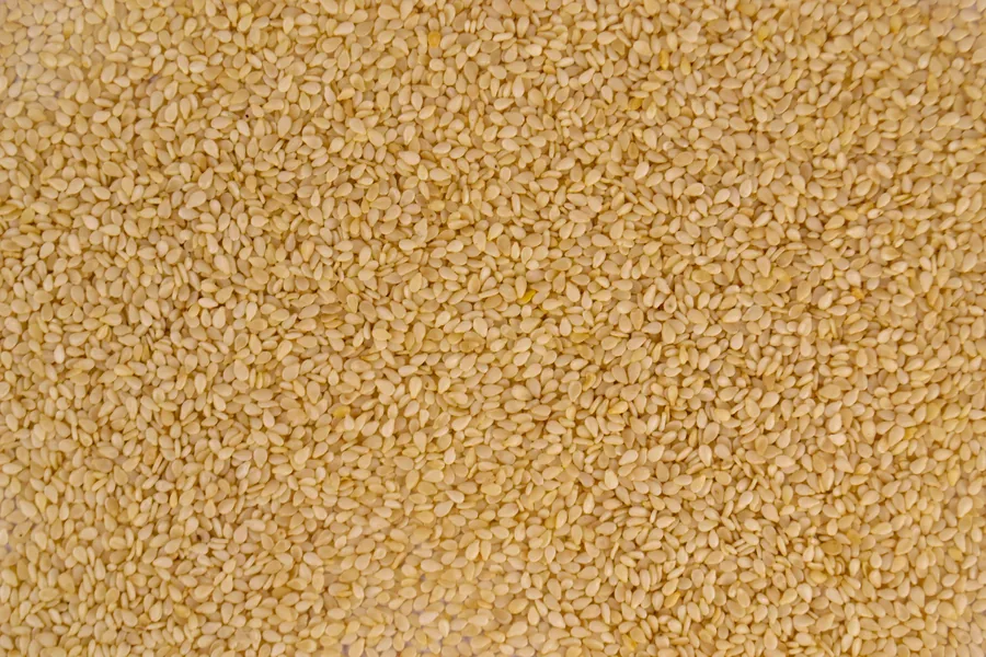 Sesame seed exporter India